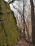 IMG_20240203_115815