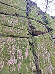 IMG_20240203_115812