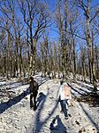 IMG_3417