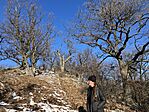IMG_3418