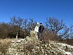 IMG_3421