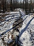 IMG_3436
