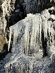 IMG_3443