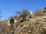 IMG_3451