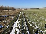 IMG_3461