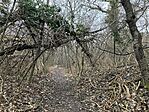 IMG_3503