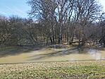 IMG_20240217_115353