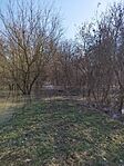 IMG_20240217_112257