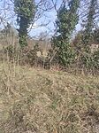 IMG_20240225_123302
