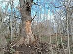 IMG_20240213_103221.jpg