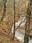 IMG_20240224_101843