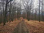IMG_20240224_120320
