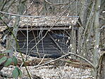 DSC05865