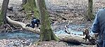 IMG-20240203-WA0003