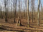 IMG_20240218_110744