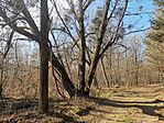 IMG_20240218_113547