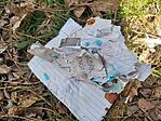 IMG_20240218_113723