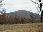 IMG_6499