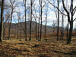 IMG_6501
