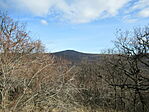 IMG_6506