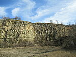 IMG_6554
