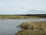 IMG_6587