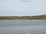 IMG_6603