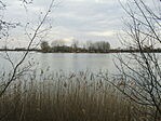 IMG_6624