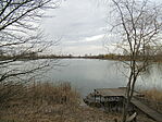 IMG_6631