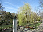 IMG_6866