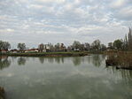 IMG_6901