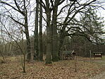 IMG_7037