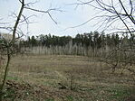 IMG_7045