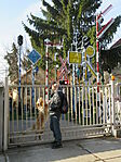 A gyűjtemény