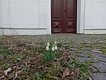 IMG_20240212_152629877_MFNR