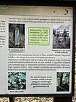 IMG_5880