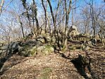 IMG_20240207_115446