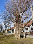 IMG_20240204_123157