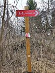 IMG_20240221_095543