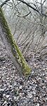 IMG_20240202_164333