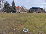 IMG_20240202_095334.jpg