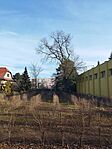 IMG_20240206_093426