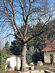 IMG_20240206_093456