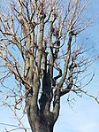 IMG_20240206_093521