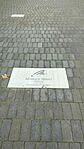 IMG-275da91caa61b246ccae969bf5bf9978-V