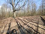 IMG_20240305_132622