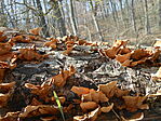 DSCN2171