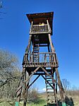 IMG_20240317_143905
