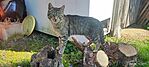 IMG_20240315_131103