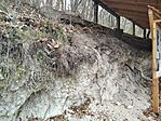 IMG_20240309_145618_1